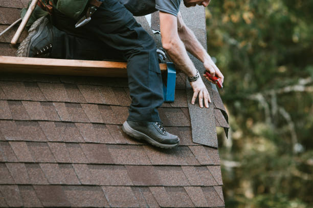 Best Gutter Installation and Roofing  in Cleveland, FL
